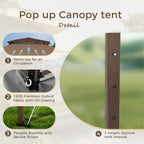 Toit de jardin pliable et renforcé de 4 m x 4 m avec élégant rideau d'angle - 4 m x 4 m