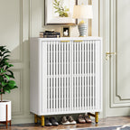 Meuble à chaussures avec porte pour 24 paires, idéal pour l'entrée ou le salon.