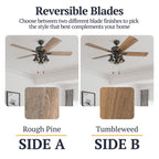 Ventilateur de plafond LED style ferme 52 pouces Prominence Home Sivan Bronze avec télécommande