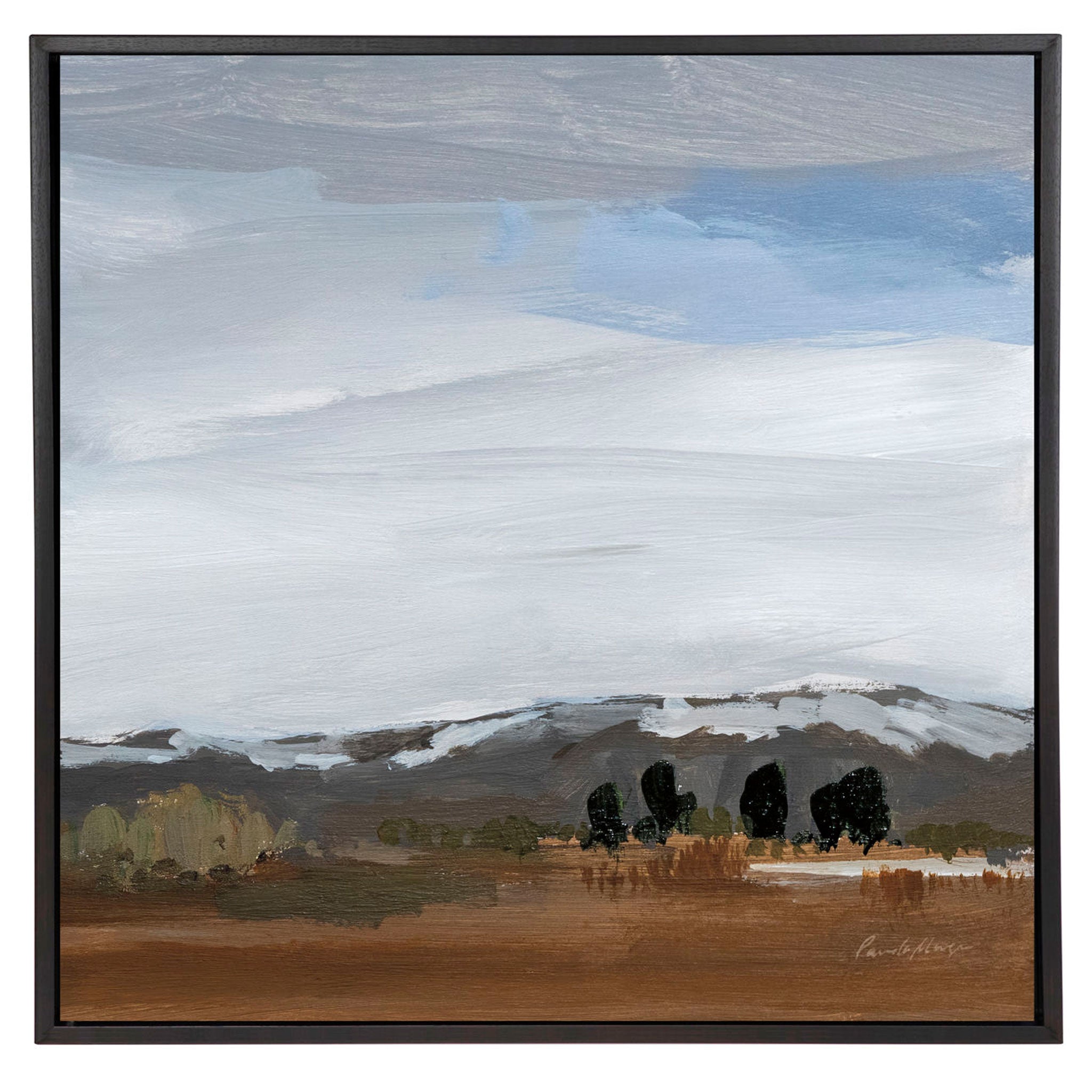 Alamosa, impression de fin mars