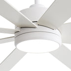 Ventilateur de plafond noir à 8 pales de 65 pouces avec éclairage LED et télécommande