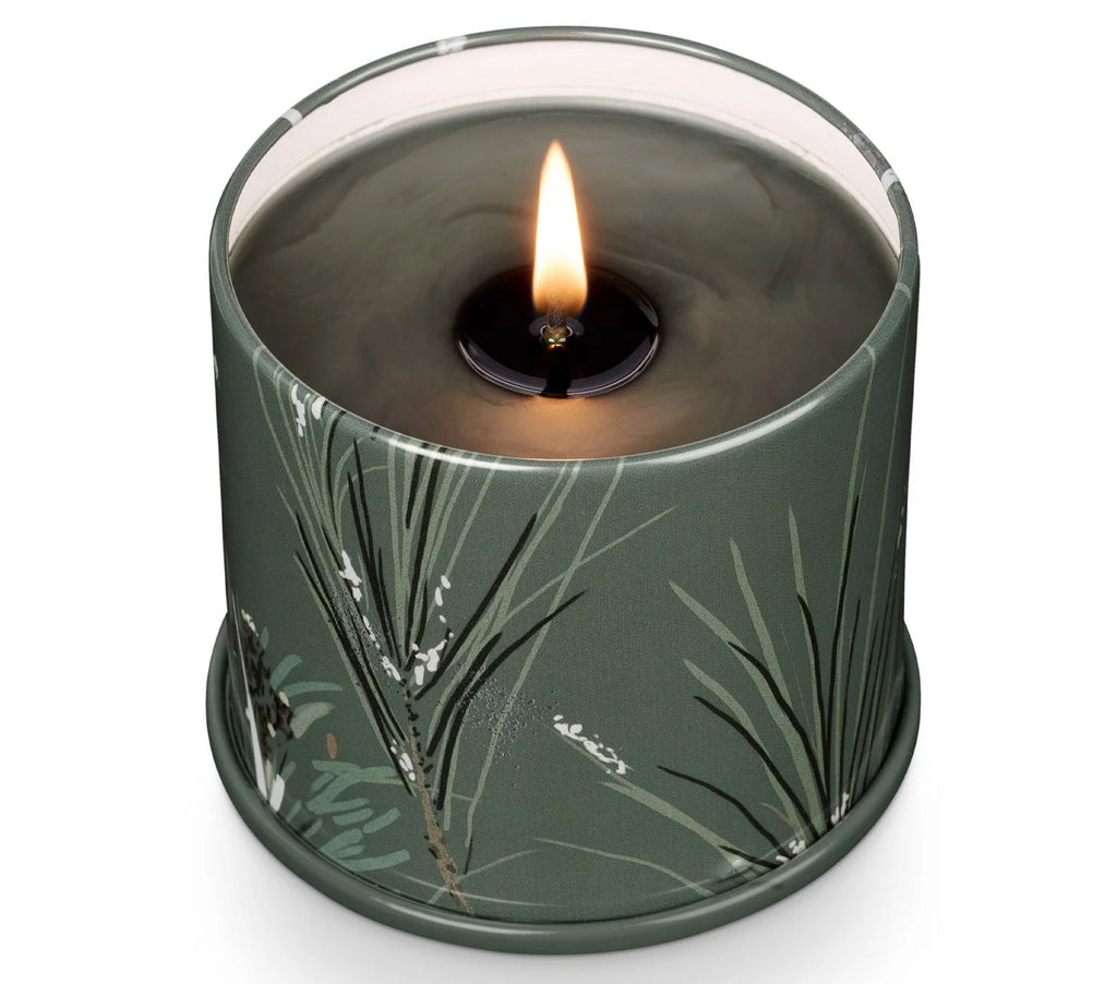 Bougie en boîte demi-format pour vanité, sapin et cèdre