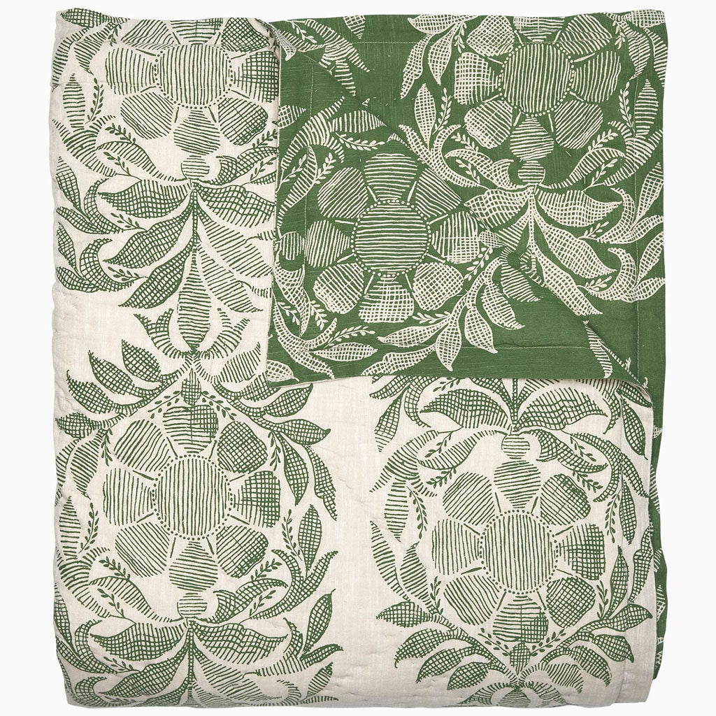 Couverture Asma Queen de John Robshaw