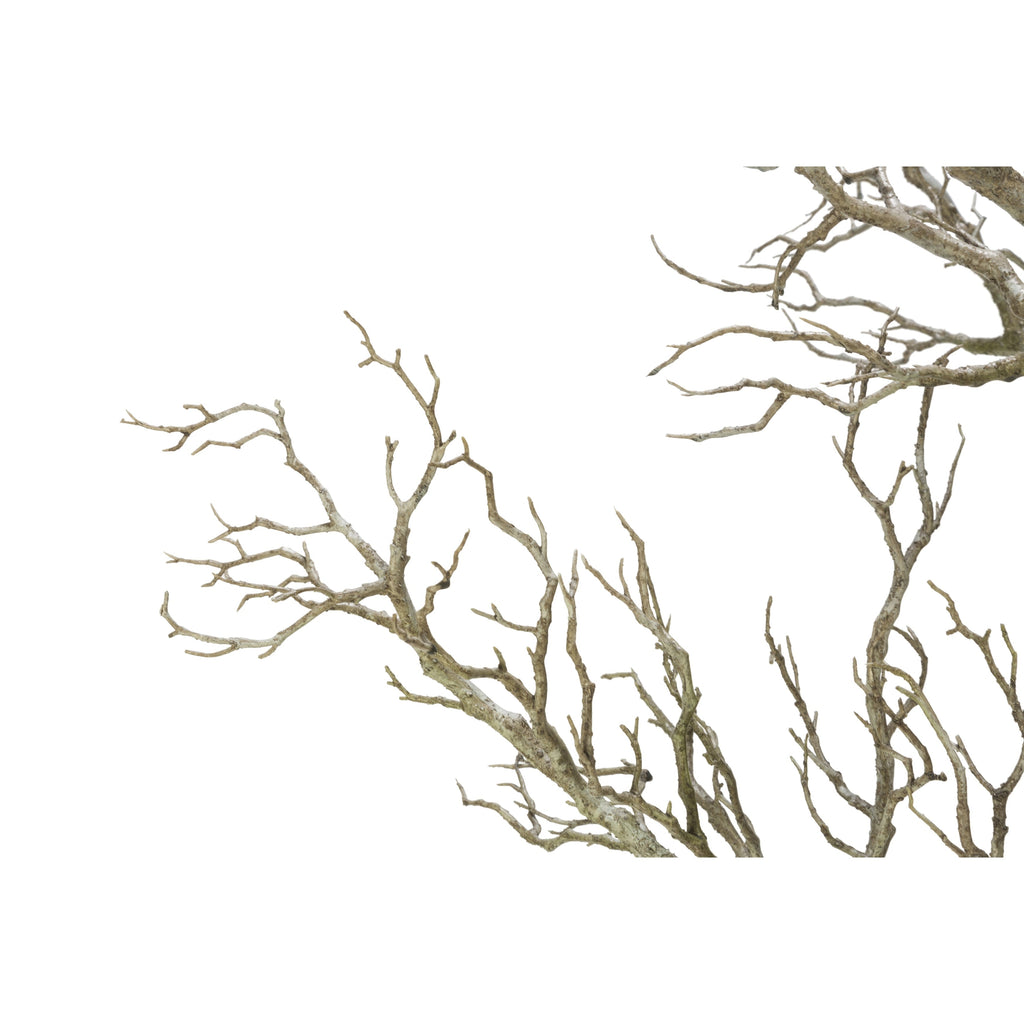 96 brindilles d'arbre mort