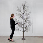 96 brindilles d'arbre mort