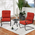 Nista 3 Piece Outdoor Patio C-Spring Bistro Set Dining Chairs with Cushions and Coffee Table by Havenside Home
