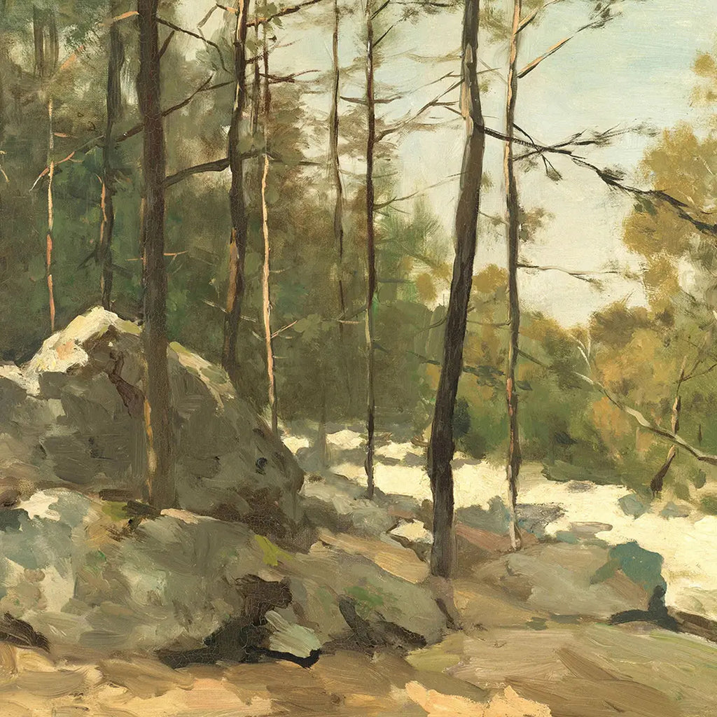 Après-midi dans la forêt