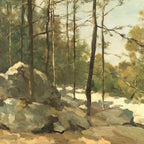 Après-midi dans la forêt